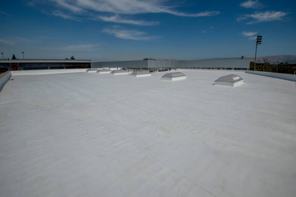 Best Hot Roofs  in , DE